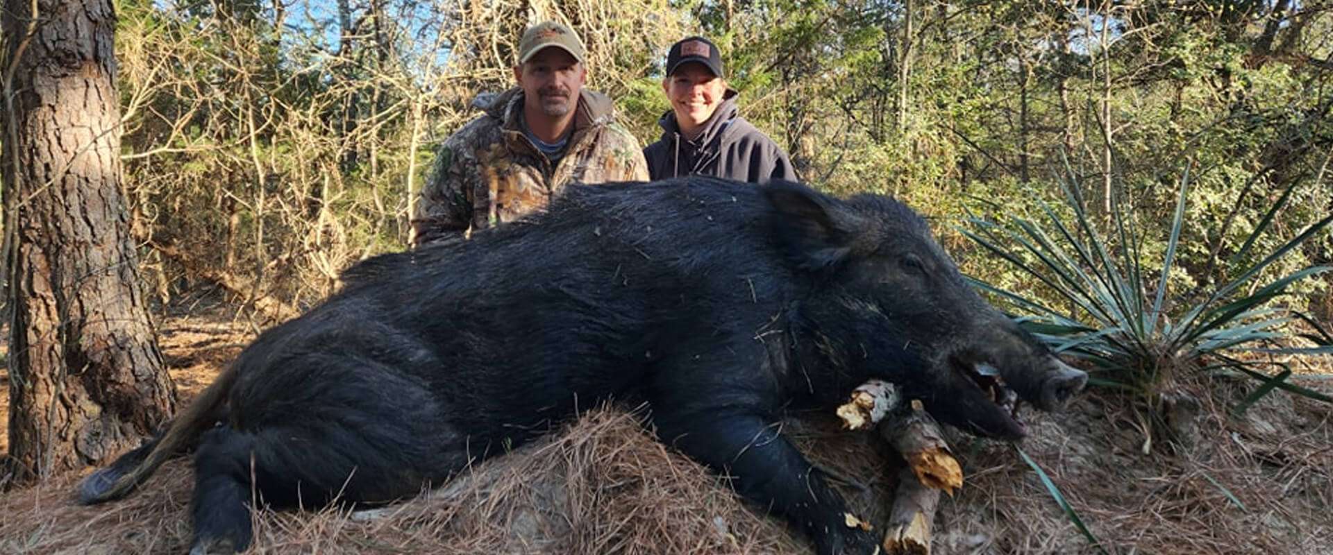 Hog Hunting In Texas