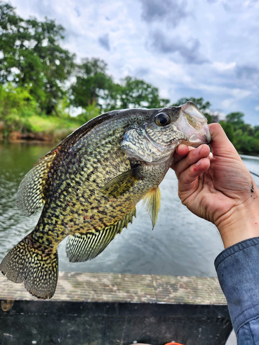 Texas Fishing