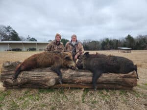 Daytime hog hunt Daytime hog hunt