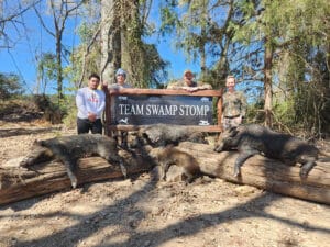 Wild boar day hunt Wild boar day hunt